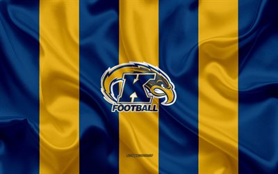 Di Stato di Kent Golden Lampeggia, squadra di football Americano, emblema, seta, bandiera, blu, giallo, texture, NCAA, di Stato di Kent Golden Mostrine logo, Kent, Ohio, stati UNITI, football Americano