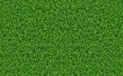 草感, 近, 植物感, 草背景, 緑の芝生, 芝トップ, グリーンバック, 緑の芝生の質感