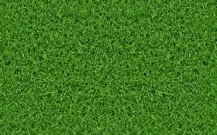 ダウンロード画像 草感 近 植物感 草背景 緑の芝生 芝トップ