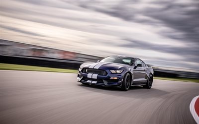 4k, Ford Mustang Shelby GT350, muscle cars, 2019 cars, Shelby, tuning, american cars, Ford Mustang, supercars, Ford