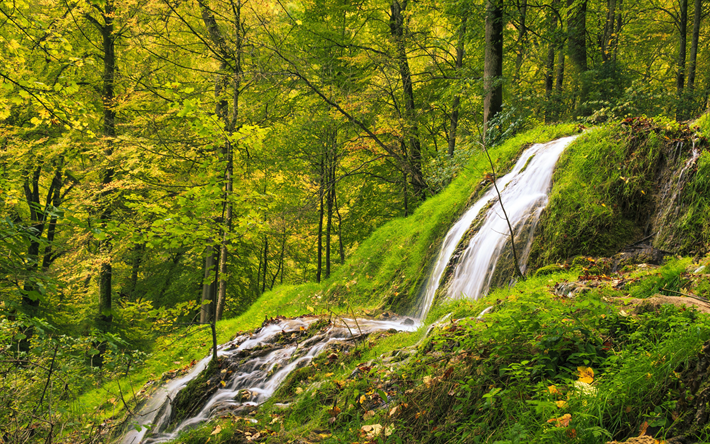 forest, waterfall, rock, green grass, forest waterfall, mountain river