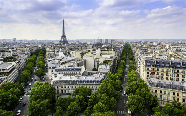 Eiffel, Torre, urbano, panorama, strade, case, Parigi, estivo, turismo, viaggiare, Francia
