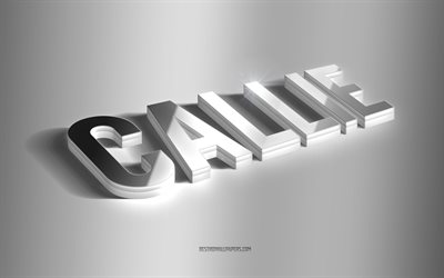 callie, arte 3d prata, fundo cinza, papéis de parede com nomes, nome callie, cartão de saudação callie, arte 3d, foto com nome callie