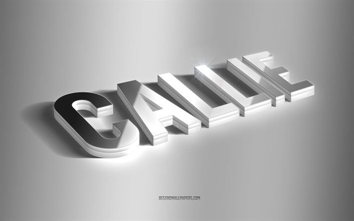 callie, silver 3d konst, gr&#229; bakgrund, tapeter med namn, callie namn, callie gratulationskort, 3d konst, bild med callie namn