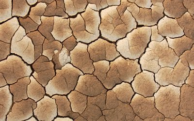 乾燥地質感, 地上にひび割れ, 自然の風合い, 砂漠, 干ばつの概念, 生態学, 乾燥地