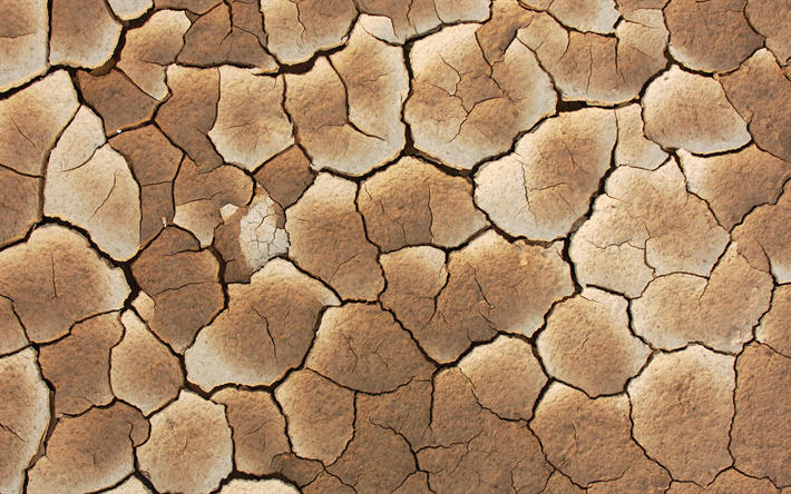 ダウンロード画像 乾燥地質感 地上にひび割れ 自然の風合い 砂漠 干ばつの概念 生態学 乾燥地 フリー のピクチャを無料デスクトップの壁紙