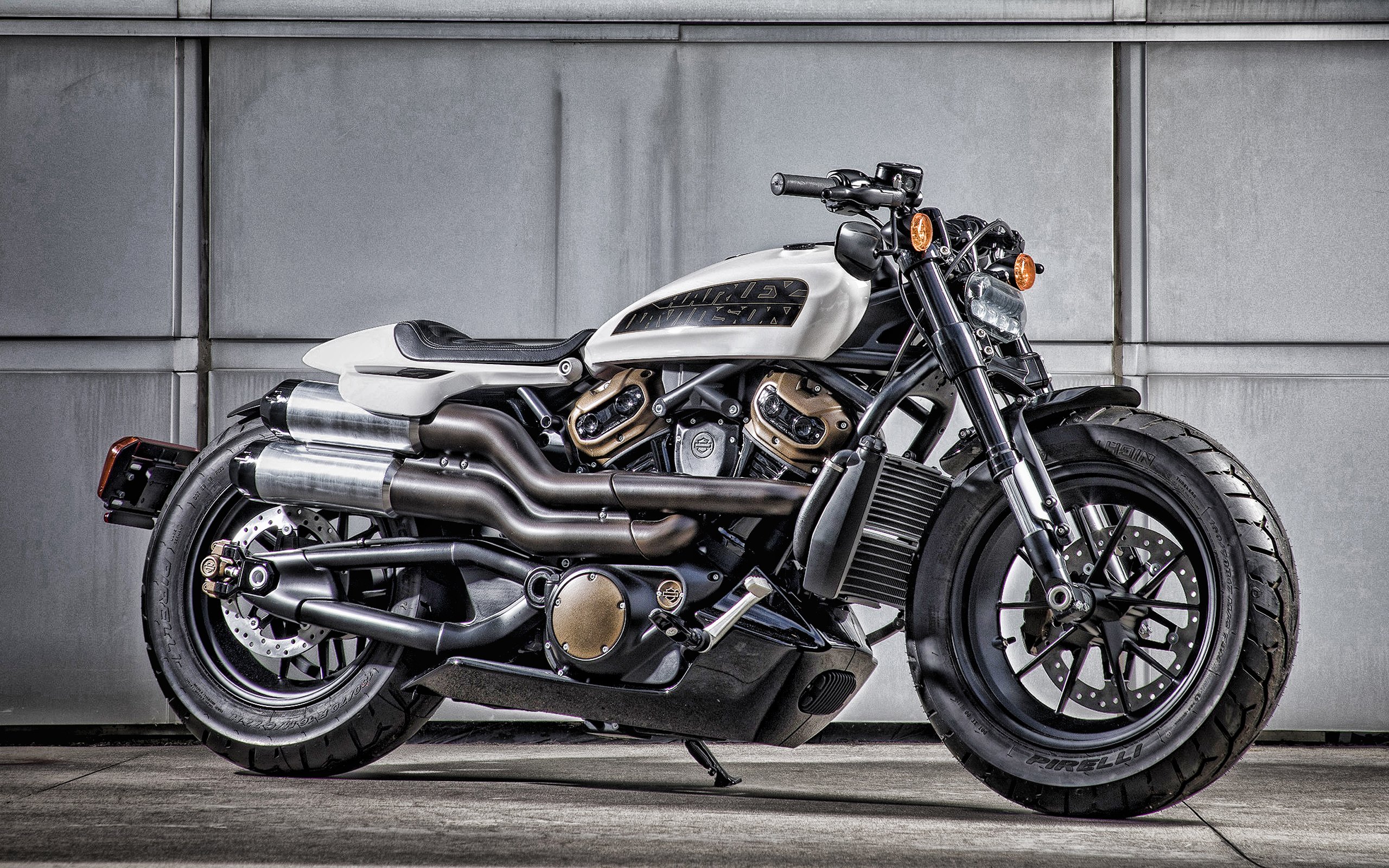 Download Wallpapers Harley Davidson Sportster Xr1200 2019 Cool Bike Custom Tuning American