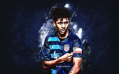 Chris Richards, United States national soccer team, american football player, soccer, USA, blue stone background, grunge art