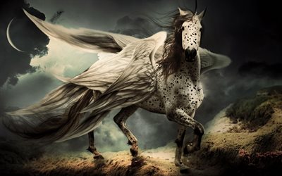 Pegasus, white horse with white wings, art, fantasy, horses