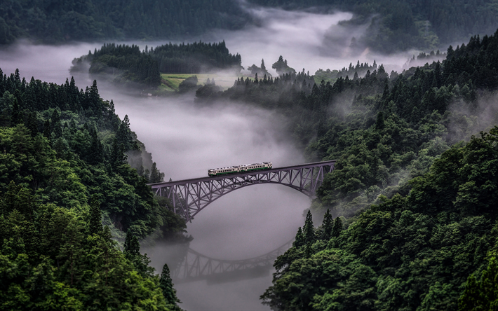 Japan, forest, river, bridge, fog, train, Asia