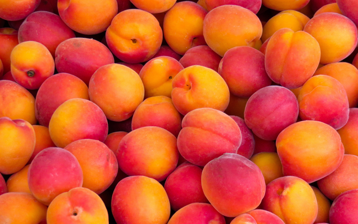 peaches, fruit background, mountain of peaches, ripe fruits, background with peaches