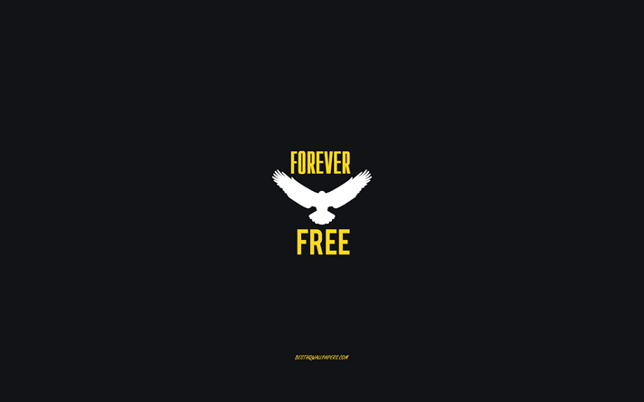 Forever free, gray background, eagle icon, creative art, Forever free concepts, freedom concepts