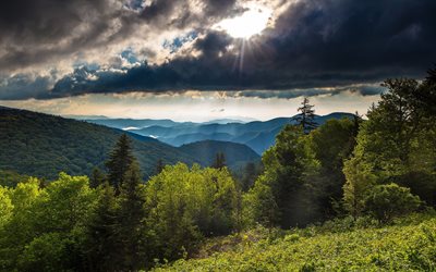 mountain landscape, evening, sunset, forest, green trees, summer, thunderclouds