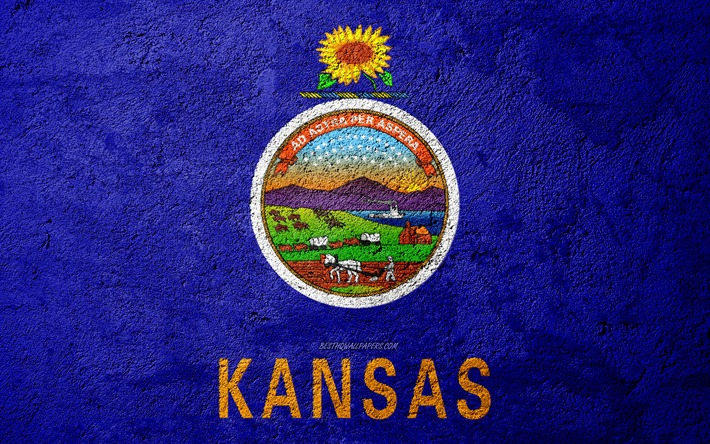 Flagga av Staten Kansas, konkret struktur, sten bakgrund, Kansas flagga, USA, Kansas State, flaggor p&#229; sten, Flaggan i Kansas