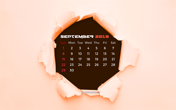 4k, settembre 2019 Calendario, arancione carta strappata, 2019 settembre calendario, carta arancione di sfondo, creativo, settembre 2019 calendario con carta strappata, Calendario settembre 2019, settembre 2019, 2019 calendari