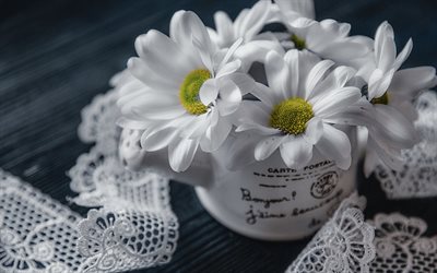 pr&#228;stkragar, mugg, vita blommor, vit spets tyg, makro, bokeh, vita pr&#228;stkragar