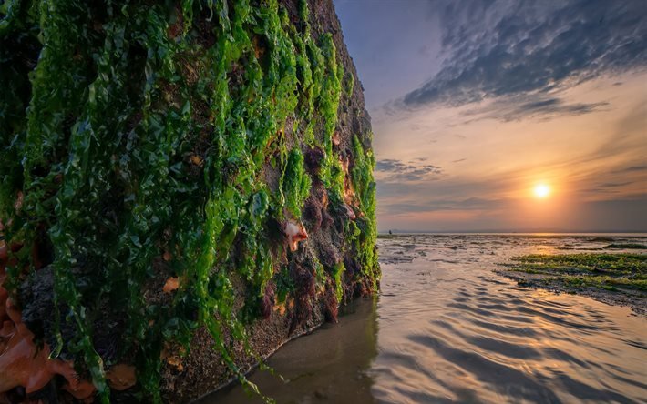 rocas de la costa, tarde, puesta de sol, paisaje marino, Vietnam, mar