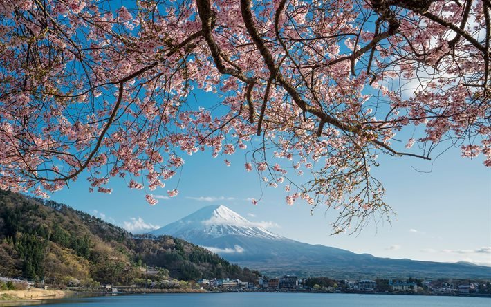 Monte Fuji, Honshu, Fujisan, manhã, nascer do sol, primavera, vulcão, sakura, Japão