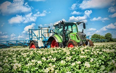 Tracteurs Fendt 313 Vario, 4k, 2020, pollinisation des champs, machines agricoles, HDR, tracteur au champ, agriculture, Fendt