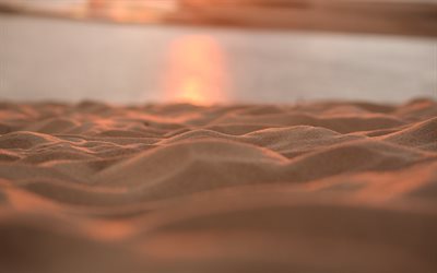 砂, ビーチ, 夕日, 砂丘, 砂波
