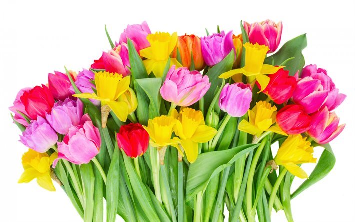 colorful tulips, field flowers, tulips, red tulips, big bouquet
