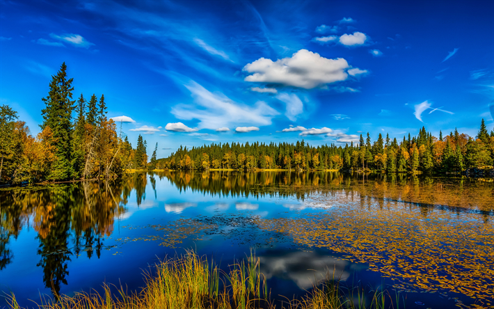 lago, foresta, autunno, blu, cielo, nubi