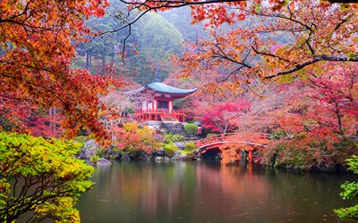 Japan, autumn, park, lake, forest