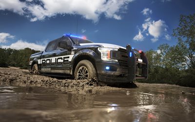 フォードF-150警察の対応, 4k, 2018両, 警察車, フォードF-150, Suv, フォード