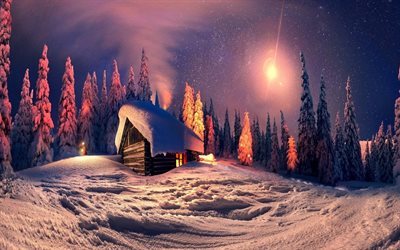 winter, forest, night, hut, stars, snow