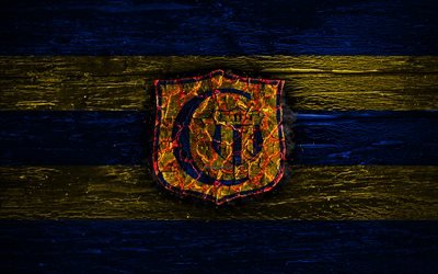 Deportivo Capiat&#225; FC, el fuego logotipo, Paraguayo, de la Primera Divisi&#243;n, el azul y el amarillo de las l&#237;neas, Paraguaya de f&#250;tbol del club, el grunge, el f&#250;tbol, el Deportivo Capiat&#225; logotipo, textura de madera, Paraguay