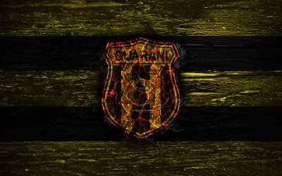 Guarani FC, fire logo, Paraguayan Primera Division, yellow and black lines, Paraguayan football club, grunge, football, soccer, Guarani logo, wooden texture, Paraguay