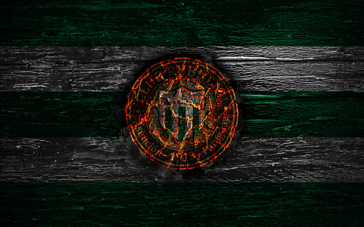 Rubio Nu FC, fuoco, logo, Paraguay Primera Division, verde e linee bianche, Paraguaiani del club di calcio, grunge, calcio, calcio Rubio Nu logo, di legno, texture, Paraguay