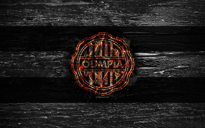 Olimpia Asuncion FC, fire logo, Paraguayan Primera Division, white and black lines, Paraguayan football club, grunge, football, soccer, Olimpia Asuncion logo, wooden texture, Paraguay, Club Olimpia