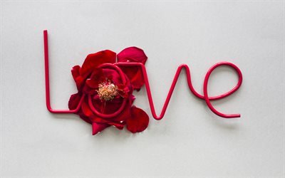 Love concepts, romance, red rose petals, the word love, February 14, creative