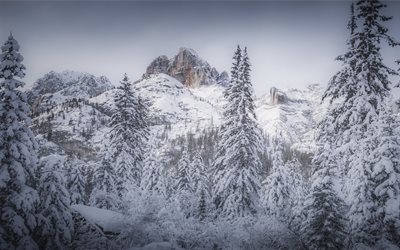 winter landscape, rocks, snow, winter forest, USA, mountain landscape