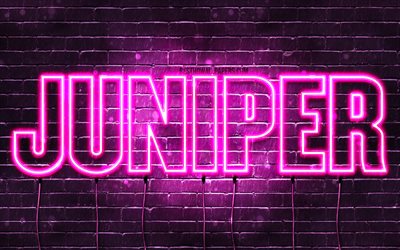 Juniper, 4k, wallpapers with names, female names, Juniper name, purple neon lights, horizontal text, picture with Juniper name