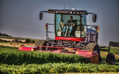 Massey WR9970, 4k, 自走式Windrower, 2019トラクター, 農業機械, 赤いトラクター, 農業, 収穫, Massey
