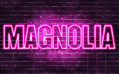 Magnolia, 4k, wallpapers with names, female names, Magnolia name, purple neon lights, horizontal text, picture with Magnolia name