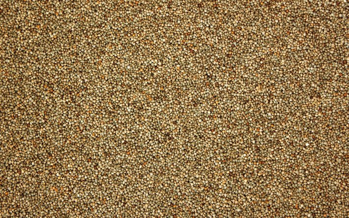 trigo sarraceno texturas 4k, texturas de alimentos, trigo sarraceno, los cereales, los granos texturas, macro, trigo sarraceno fondos