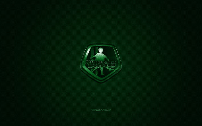 Mushuc Runa SC, &#201;quatorienne de football club, &#201;quatorien de la Serie A, logo vert, vert en fibre de carbone de fond, football, Ambato, &#201;quateur, Mushuc Runa SC logo