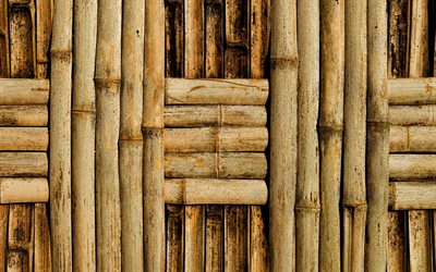 bamboo wickerwork textures, macro, bambusoideae sticks, bamboo weaving textures, bamboo textures, brown bamboo texture, bamboo canes, bamboo, bamboo sticks, brown wooden background