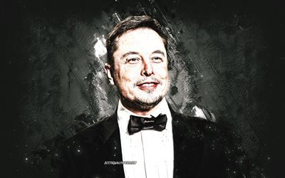 Elon Musk, american inventor, SpaceX, portrait, gray stone background