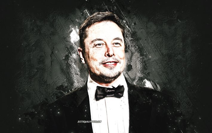 Elon Musk, inventor americano, SpaceX, retrato, fundo de pedra cinza