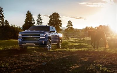 Chevrolet Silverado, 2018, American pickup truck, blue Silverado, new, field, horse, USA, Chevrolet