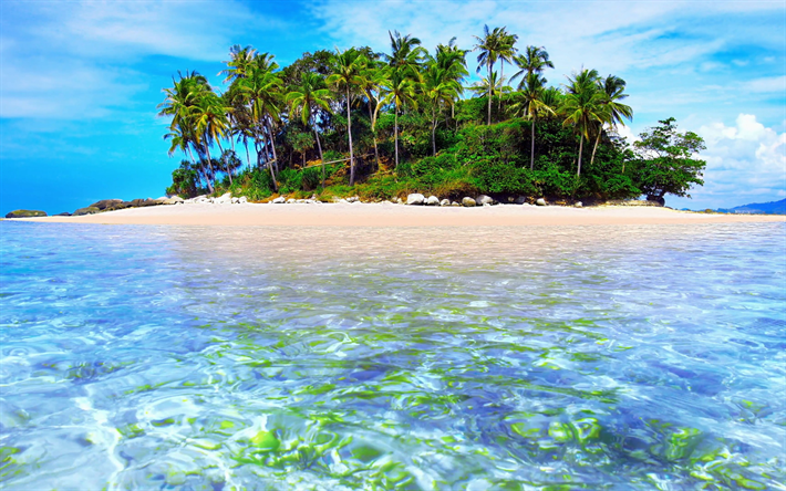 ocean, tropical island, beach, palms, summer, travel concepts, waves, sea