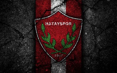 Hatayspor FC, 4k, logo, football, Turkish Lig, black stone, Turkey, soccer, emblem, asphalt texture, Antakya, Turkish football club