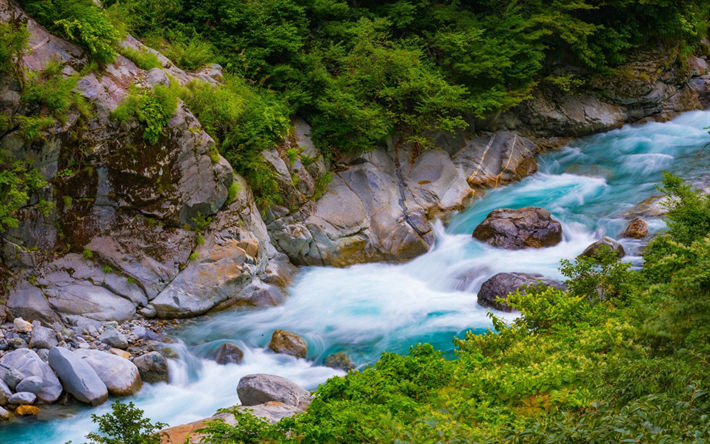rio de montanha, floresta, pedras, &#225;gua azul, montanhas, rios