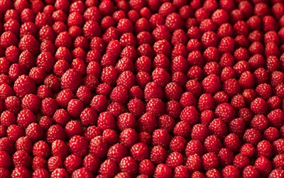 raspberry texture, 4k, macro, berries, food textures, fruits textures, raspberry, fresh fruits, berries textures