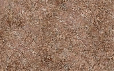 brun en cuir &#224; la texture de cuir, de motifs, de textures de cuir, de cuir de texture de fond, brun origines, de cuir, de milieux, de la macro, du cuir