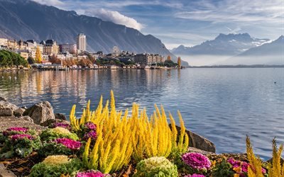 Montreux, Genevenj&#228;rvi, riviera, aamu, sumu, vuoristomaisema, Sveitsi